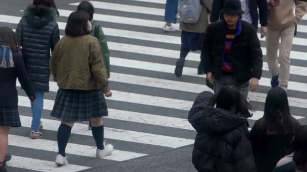 Tokio Japan Februar 2020 Zeitlupe Über Den Fußgängerüberweg Shibuya Erhöhter — Stockvideo