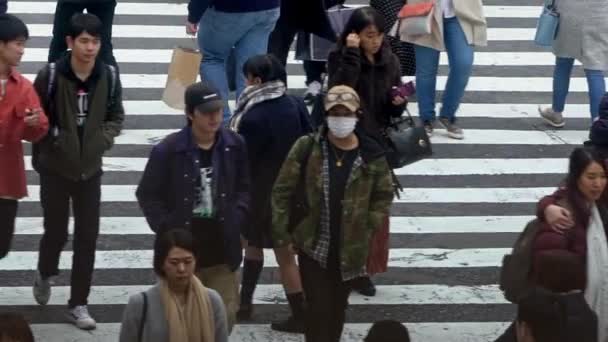 Tokyo Japan Februari 2020 Långsam Rörelse Publiken Gående Över Shibuya — Stockvideo