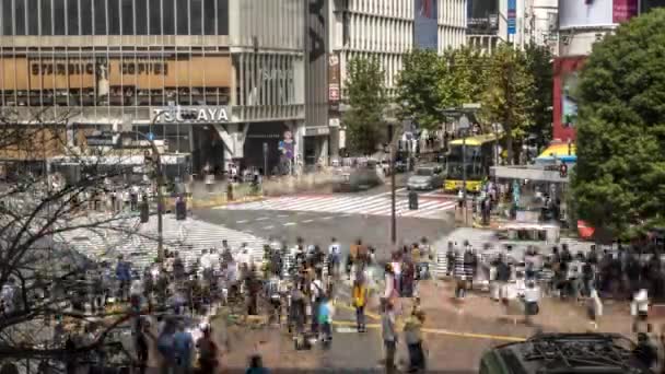 Токио Япония Сентября 2017 Года Timelapse Aerial Толпы Пешеходных Переходов — стоковое видео