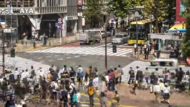 Tokio Japonsko Září 2017 Timelapse Pohled Pěší Přechod Shibuya Tokyo — Stock video