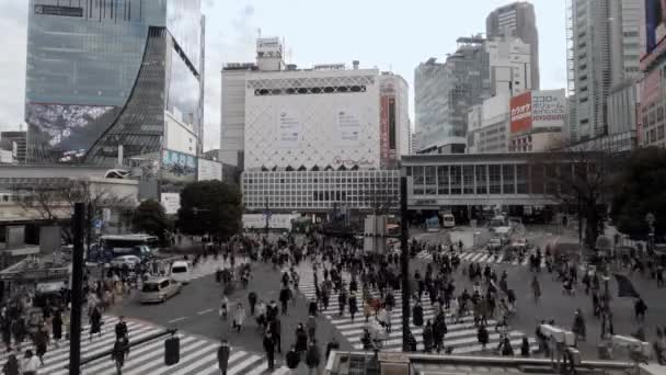 Tokio Japonsko Únor 2020 Timelapse Různé Úhly Pohled Shora Pěší — Stock video