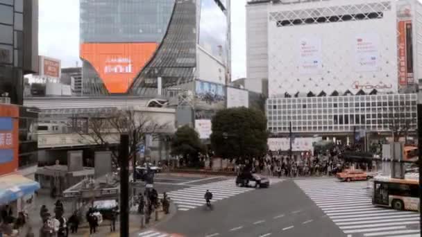 Tokio Japan February 2020 Timelapse Elevated View Crowd Pedestrian Crossing — Stock video