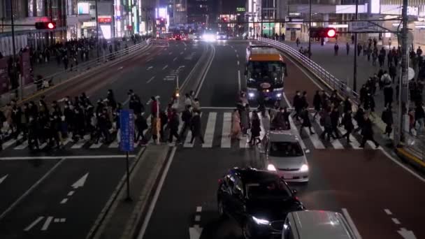 Tóquio Japão Janeiro 2020 Vista Elevada Sobre Uma Multidão Pedestres — Vídeo de Stock