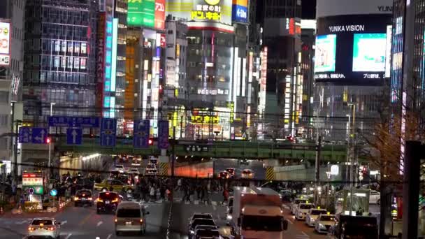 Tokyo Giappone Gennaio 2020 Veduta Aerea Oltre Una Folla Pedonale — Video Stock