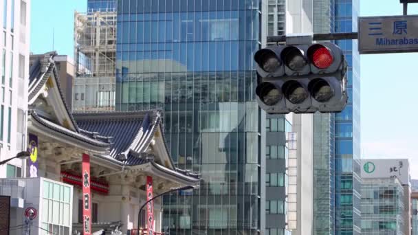 Passage Piétonnier Asiatique Signe Tokyo Ville Les Feux Circulation Passent — Video