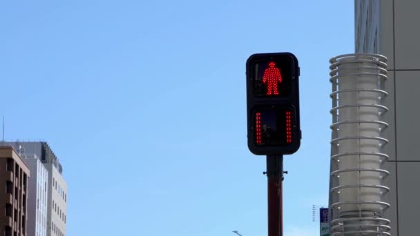 东京的亚洲人行横道标志 交通信号灯由绿色变为红色 在晴朗的天气里 蓝天灯火通明 横穿日本交叉口街 亚洲商业区丹 — 图库视频影像