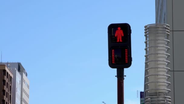 Paso Peatonal Asiático Signo Ciudad Tokio Los Semáforos Cambian Verde — Vídeo de stock