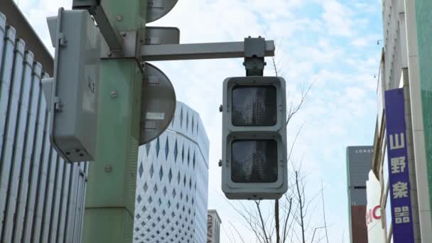 Asian Pedestrian Crosswalk Sign Tokyo City Traffic Lights Change Green — Stock Video