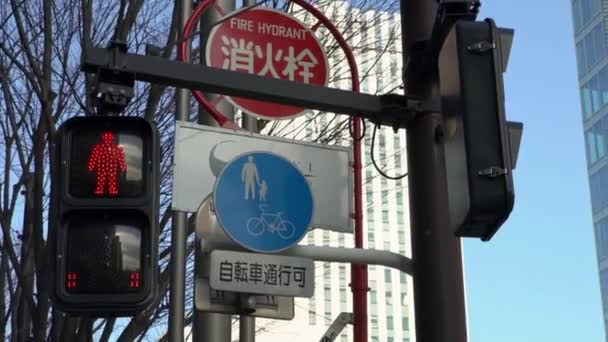 Asian Pedestrian Crosswalk Sign Tokyo City Traffic Lights Change Red — Stock Video