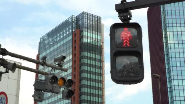 4Kアジアの歩行者横断歩道標識東京市内の交通変化は 赤から緑へ 光は一日に照らされます 横断道路交差点日本 アジアダウンタウン — ストック動画