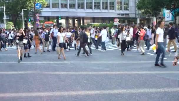 Τόκιο Ιαπωνία Σεπτεμβρίου 2017 Moving Dolly Crowd Pedestrian Crossing Shibuya — Αρχείο Βίντεο