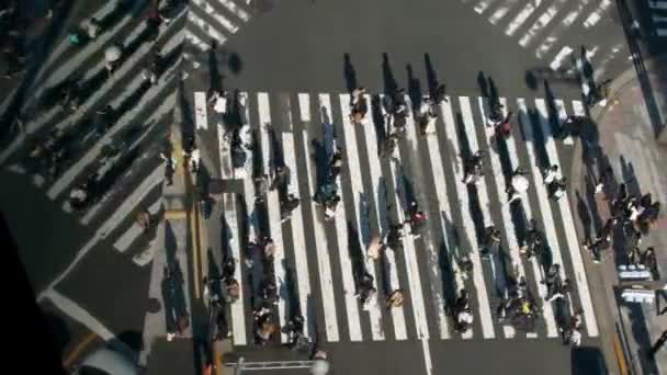 空中俯瞰一辆交通车辆和一群带着日落灯穿过街道的行人 在亚洲人走在最繁忙的交叉路口时 俯瞰的景象 — 图库视频影像