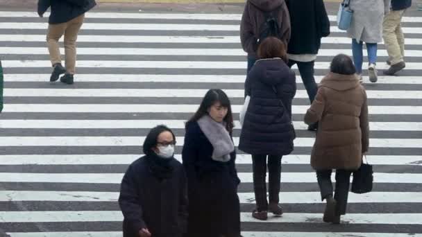 Tokyo Japan Februari 2020 Slow Motion Crowd Voetgangers Kruising Shibuya — Stockvideo