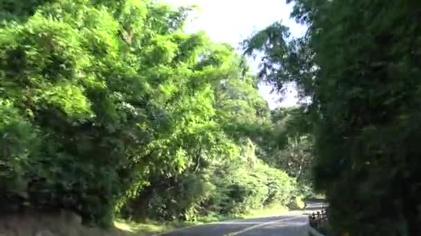 4Kアジアのターンで森を通って山道を運転 陽明山国立公園 ダンの明るい夏の日に空の道を運転 — ストック動画