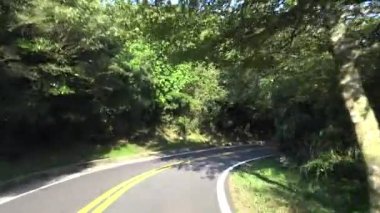 4K Orman Yolu 'ndan Asya' ya Dönecek. Yangmingshan Dağları Ulusal Parkı, Tayvan-Dan 'de aydınlık bir yaz gününde boş bir yolda araba sürmek