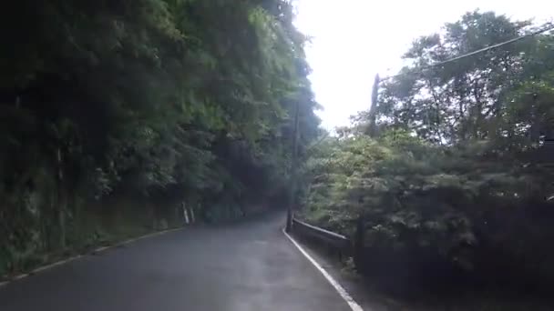 4K在亚洲 开车在山路上穿越森林 阳明山国家公园 一个阳光灿烂的夏天 开车在一条空旷的路上 — 图库视频影像