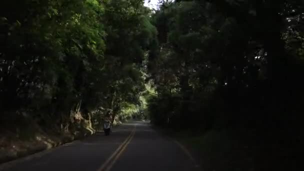 Kör Mountain Road Genom Skogen Med Svängar Asien Kör Tom — Stockvideo