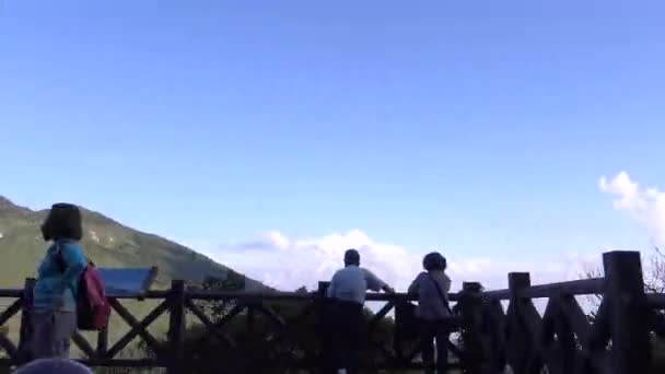 Conducir Carretera Montaña Través Del Bosque Con Vueltas Asia Conduciendo — Vídeo de stock