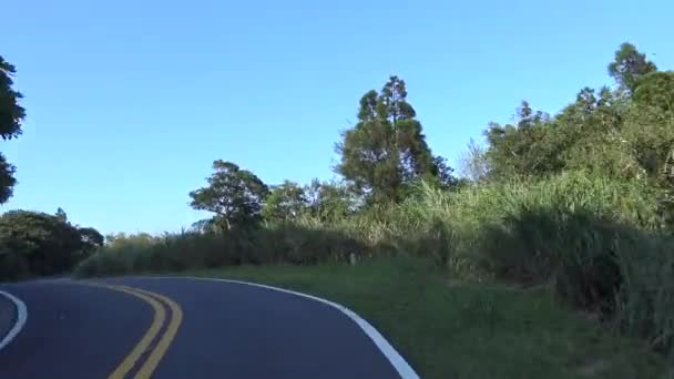 Driving Mountain Road Forest Turns Asia Driving Empty Road Bright — Stock Video