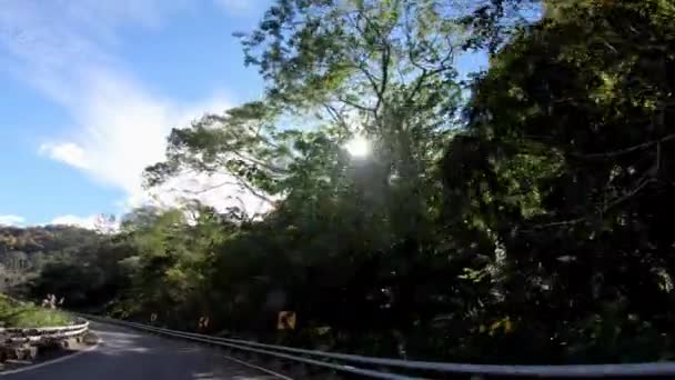 Conducir Por Carretera Montaña Través Del Bosque Con Curvas Taitung — Vídeos de Stock