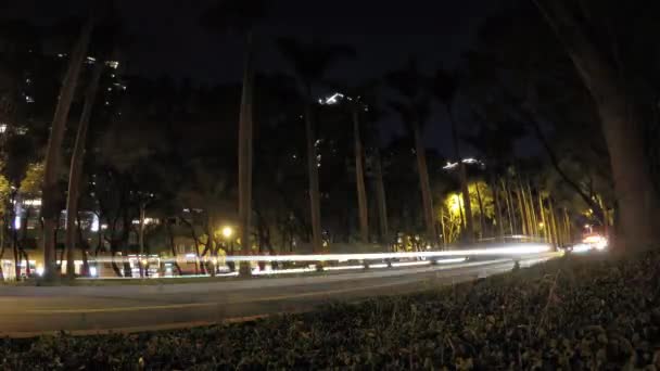 Timelapse Natten Trafikbilar Korsar Urban Gata Nära Parken Dan — Stockvideo