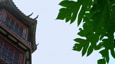 Japon mimarisi olan 4K büyük ev, ağaç Dan ile bahçeden ahşap manzara inşa ediyor.