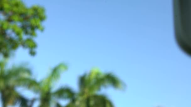 4K无人驾驶直升机正在一个阳光灿烂的夏天的公园里飞行 具有蓝天和棕榈背景的现代Rc无人机 四合院与相机 红绿灯 — 图库视频影像