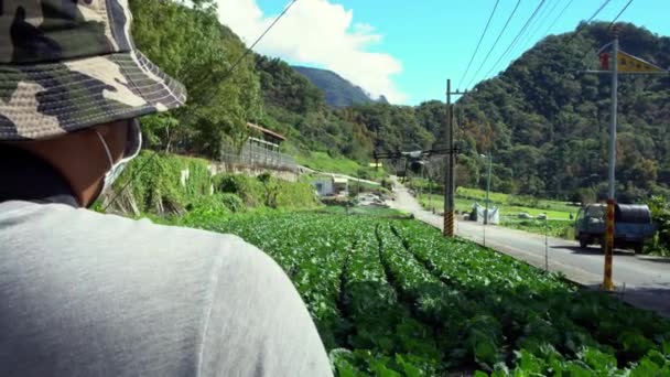4K, Farmer navigating drone above of cabbage farmland. High technology innovations for increasing productivity in agriculture. Professional man playing a big drone with remote control-Dan — Stock Footage Farmer Navigating Drone Cabbage Farmland High Technology Innovations Increasing Productivity Royalty Free Stock Video