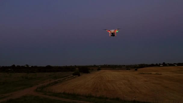 Drone Quadcopter Günbatımı Gökyüzü Olan Bir Tarlanın Üzerinde Dijital Kamerayla — Stok video