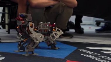 Yarışma robotu teknolojisi. Bir çift modern robot kavga ediyor. Akıllı robot dövüşü. Öğrenciler yerde kontrol robotu kullandılar. Mühendislik, teknoloji kampı eğitimi.