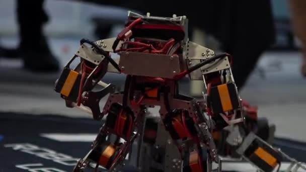 Konkurrensrobotteknik Några Moderna Robotar Som Slåss Två Retrorobotar Möter Boxningsmatcher — Stockvideo