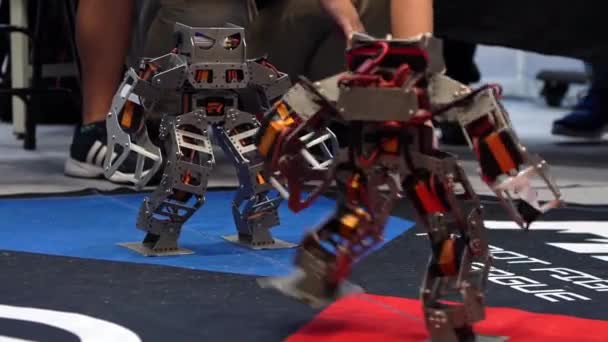 Competition Robot Technology Couple Modern Robots Fighting Smart Robotic Fighting — Stock Video