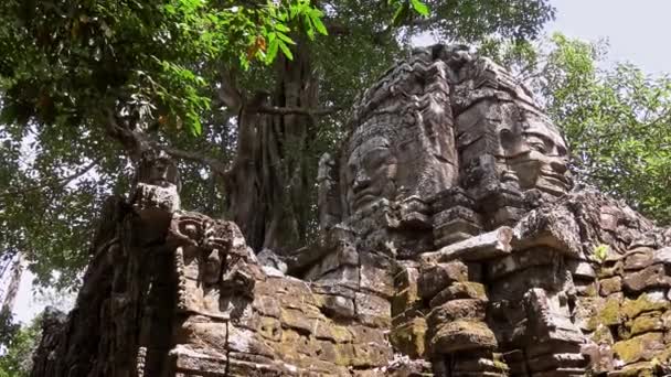 Som寺の古代の石の顔像 アンコールトムは 豪華な装飾されたクメール寺院とアジアの人気のある観光名所です 静かな石の顔を持つカンボジアの有名なランドマーク — ストック動画