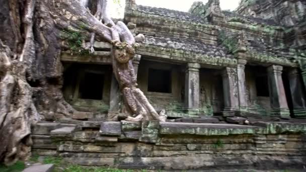 Tempio Preah Khan Con Strangolatore Fig Famoso Albero Speronato Che — Video Stock