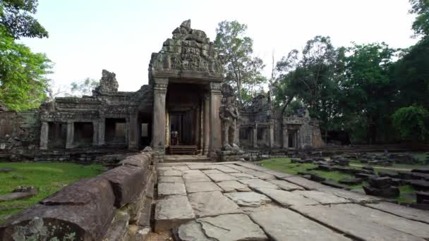 美しいアジアの女性は Preah Khanの古代ヒンズー教の寺院を散歩します 観光客の女の子だけで カンボジアの考古学的な寺院の壁を歩く アンコール トムは人気のアトラクションです — ストック動画