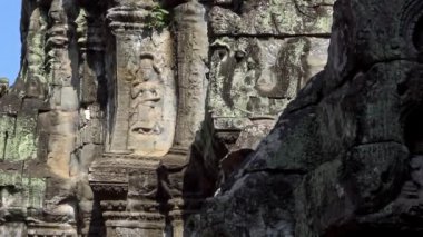 4K, Ta Prohm tapınağında Tanrı heykeli. Hinduizm 'de bir tanrı figürü. Angkor Thom Kamboçya 'daki antik anıt kalıntıları. Asya 'da Siem Reap yakınlarında popüler bir turizm beldesi.