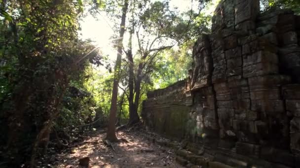 Phrom寺院の古代の記念碑遺跡 カンボジアアンコール トム複合体 クメール帝国によって建設されたシェムリアップ近くの宗教建築ランドマーク建物 アジア ダンの人気観光地 — ストック動画