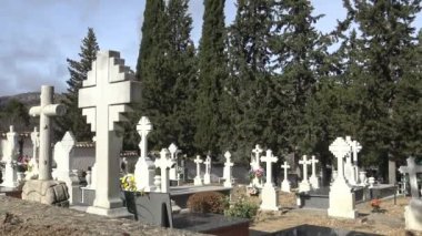 İspanya 'da mezarlık taşı, eski beyaz haç ve selvi ağacıyla 4K Tumbs In A Mezarlığı. İspanyol kırsal mezarlığı. -Dan.