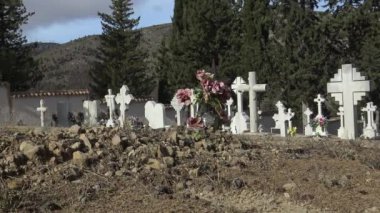 İspanya 'da mezarlık taşı, eski beyaz haç ve selvi ağacıyla 4K Tumbs In A Mezarlığı. İspanyol kırsal mezarlığı. -Dan.