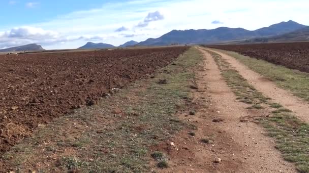 Uma Bela Colina Agricultura Rural Paisagem Espanhola Rural Dan — Vídeo de Stock