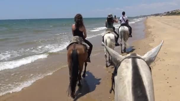 穏やかなビーチで馬に乗っている女性と男性のカウボーイの4Kグループは 夏の暑い日に海岸に乗っています 海景と砂丘砂 Dan — ストック動画