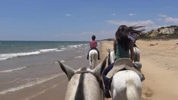 Azjatka Kowbojka Jeździ Konno Spokojnej Plaży Jeździ Wybrzeżu Coto Doana — Wideo stockowe