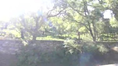 Güneş ışınlarıyla dolu güzel bir kış gününde bir Yeşil Dehesa 'nın 4K Badajoz Peyzajı. Extremadura Özerk Topluluğu, İspanya-Dan