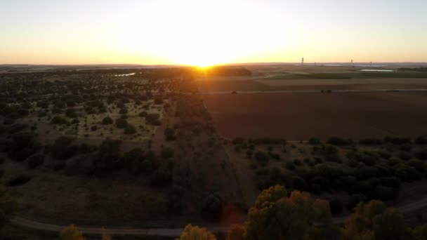Ovanifrån Vackra Fält Spanien Vid Solnedgången Olivträdgårdar Stort Landskap Plantage — Stockvideo