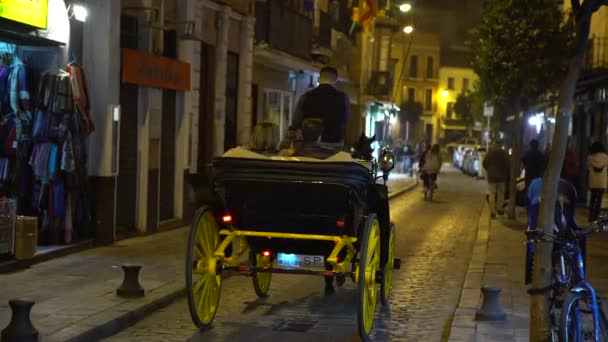 西班牙塞维利亚 2016年12月10日 4K型马车 游客和行人在塞维利亚市中心的道路上过夜 — 图库视频影像