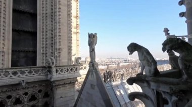 4K, heykel ve heykel Paris 'teki Notre Dame katedralinin çatısında şehri kilisenin tepesinden izlerken. Gotik Fransız katedrali. Ünlü turistik yerler ve popüler seyahat merkezleri - Dan