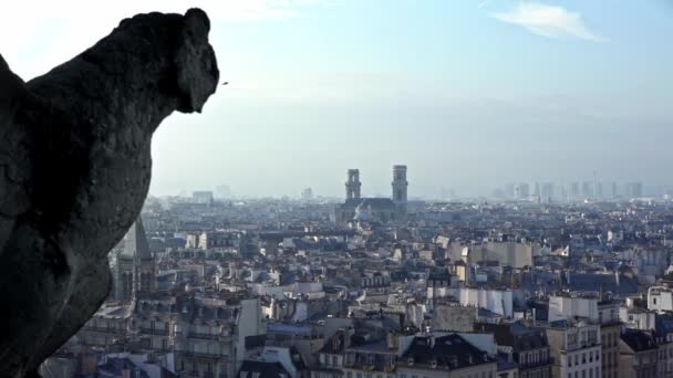 Berühmte Wasserspeier Statue Der Kathedrale Notre Dame Mit Dem Hintergrund — Stockvideo