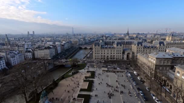 Vista Elevada Paris Catedral Notre Dame Dia Inverno Observando Cidade — Vídeo de Stock