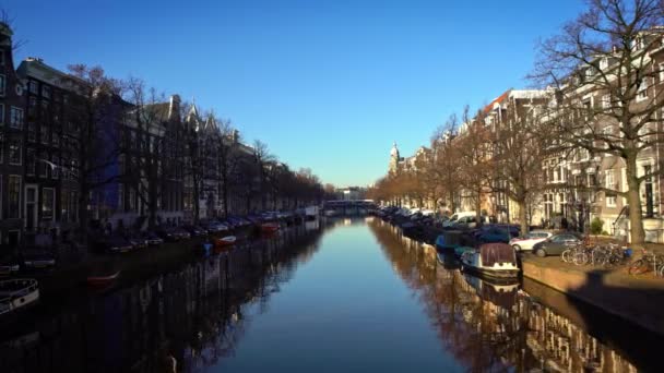 Чайка Летить Каналах Біля Традиційних Будинків Вулиці Центру Амстердам Дан — стокове відео