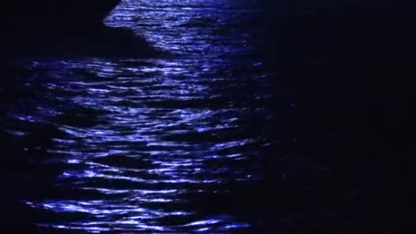 位于维多利亚港九龙城夜景中的港岛2013 Dan — 图库视频影像
